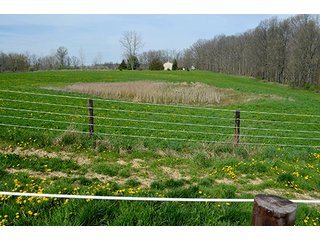 Property photo 111 - REAL ESTATE & PERSONAL PROPERTY AUCTION - 23.5+/- ACRES OFFERED IN 3 TRACTS OR COMBINATIONS IN EAST ALLEN COUNTY
